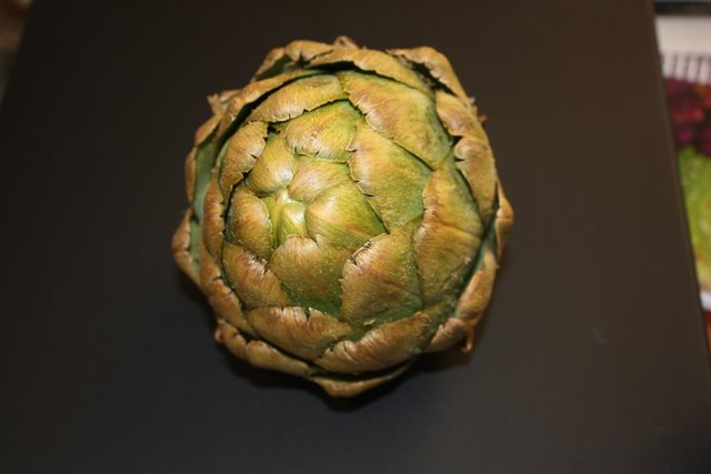Artichoke Harvested November 5, 2010